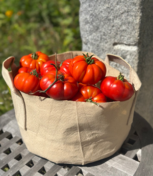 tomato-basket